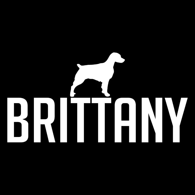 Brittany Spaniel Hunderasse Hunde Wilsigns