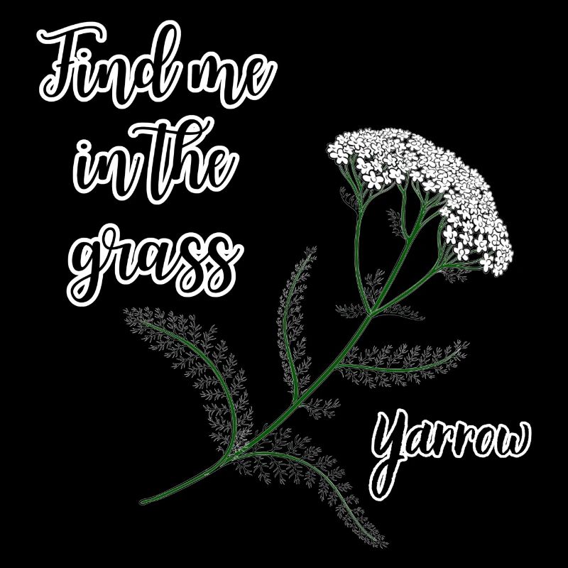 Finde mich im Gras... Schafgarbe