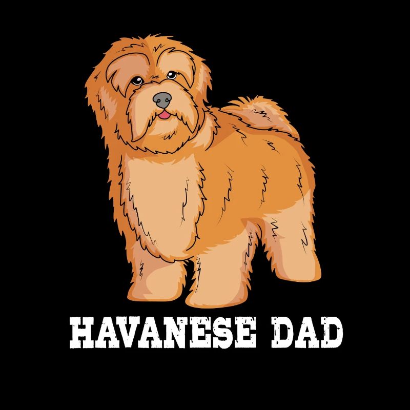 Havanese dog