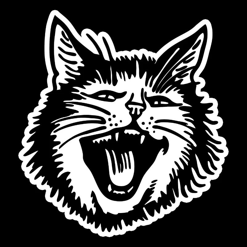 Chat Chats Chat Dame Chat Amoureux Chat Visage
