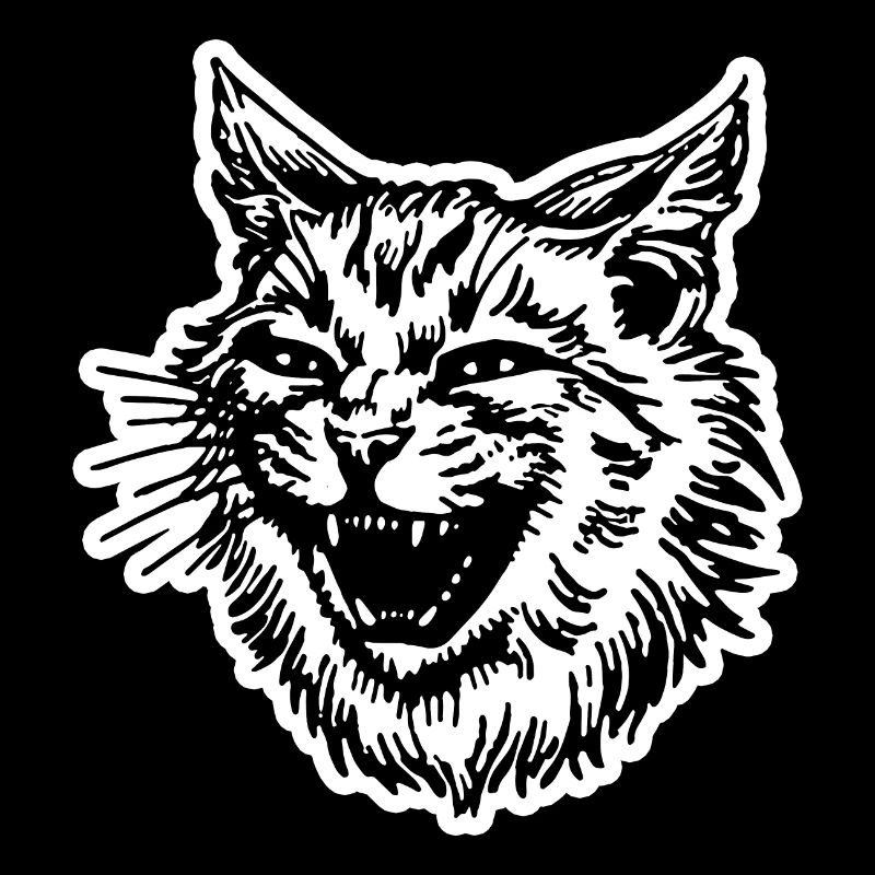 Chat Chats Chat Dame Chat Amoureux Chat Visage