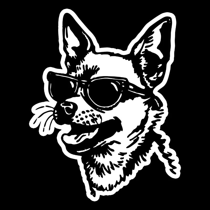 Chien Chihuahua