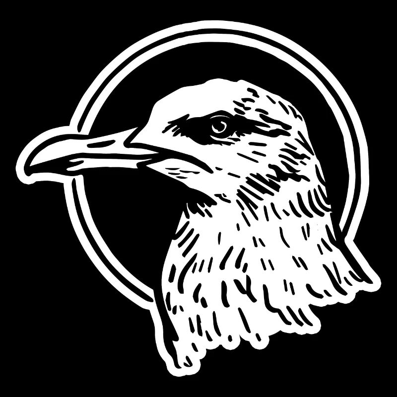 Gull