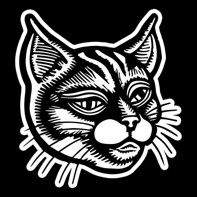 Chat Chats Visage de chat