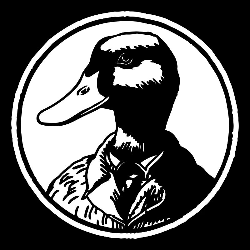 Canards