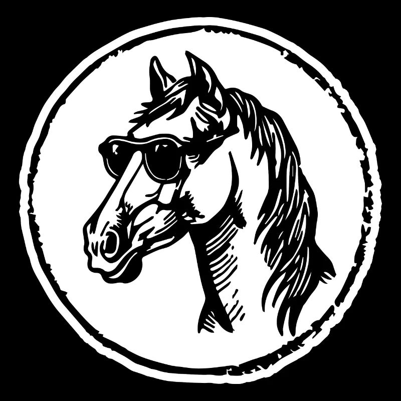 Pferd Pferde Reiten Reiter Reiterin