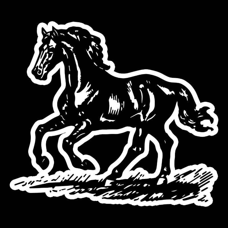 Pferd Pferde Reiten Reiter Reiterin