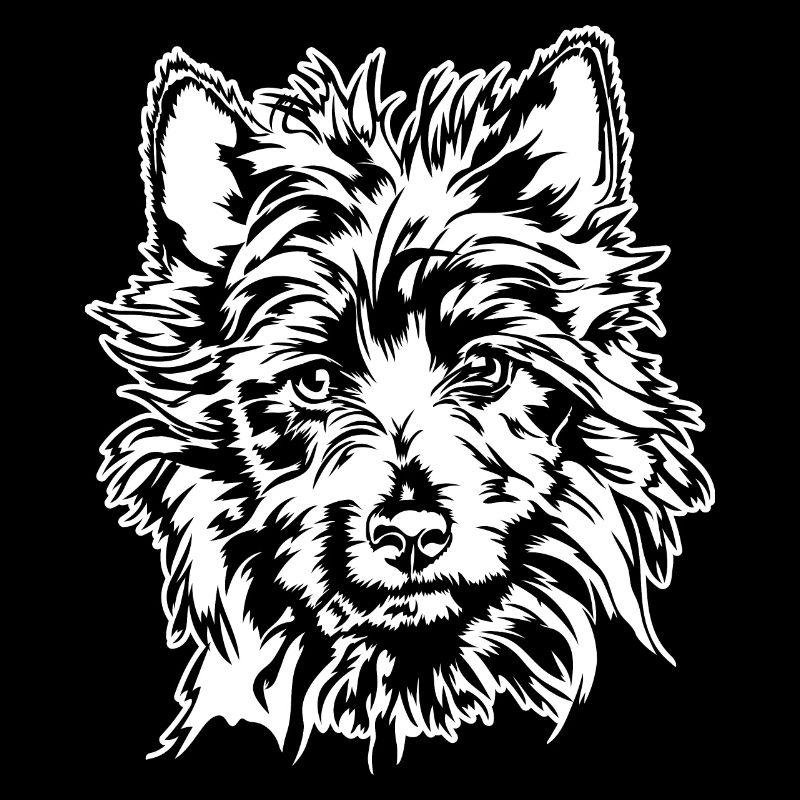 AUSTRALIAN TERRIER Hunde Portrait Hund Wilsigns
