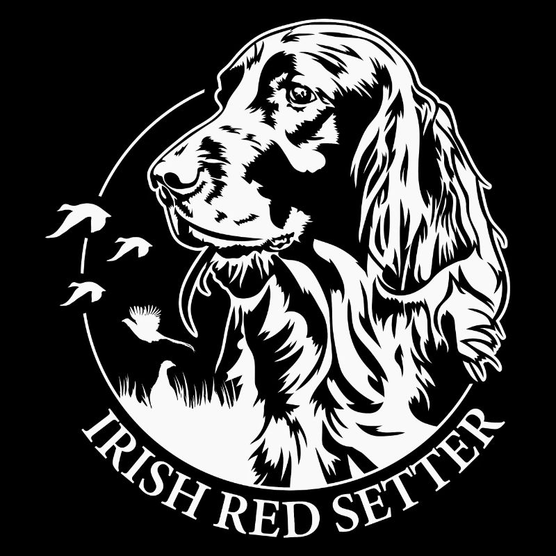 Irish Red Setter Chien de chasse Chiens de chasse Chiens Wilsigns