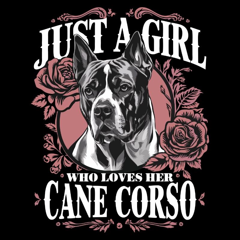 Cane Corso Hund