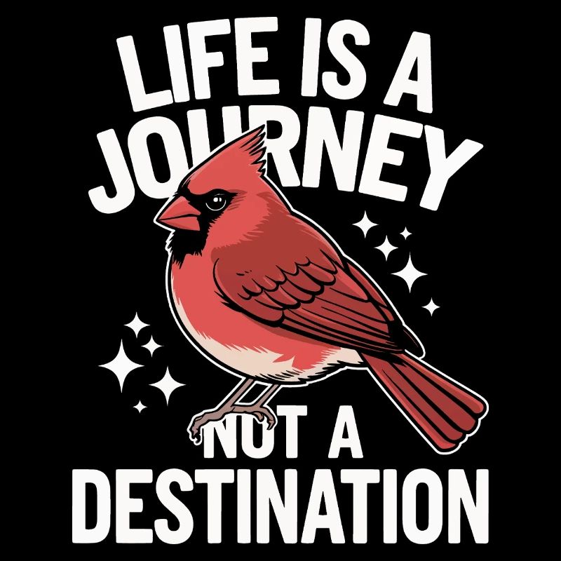 Kardinal Rotkardinal Vogel Roter Kardinal