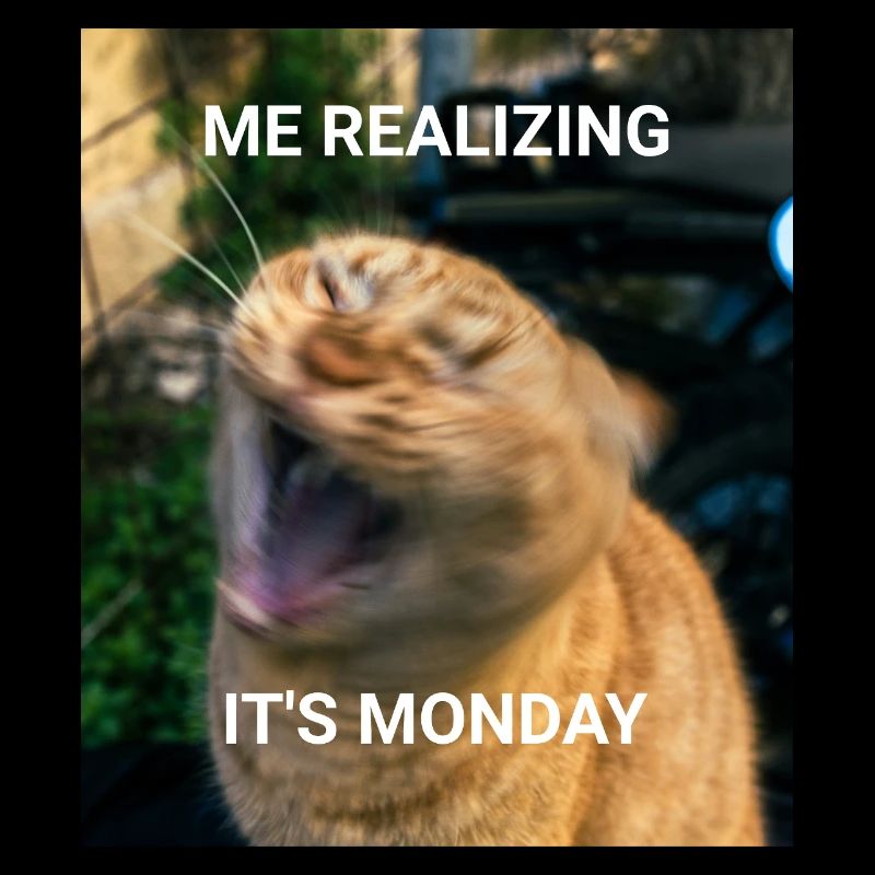MOI RÉALISANT QUE C’EST LUNDI – Red Cats Memes