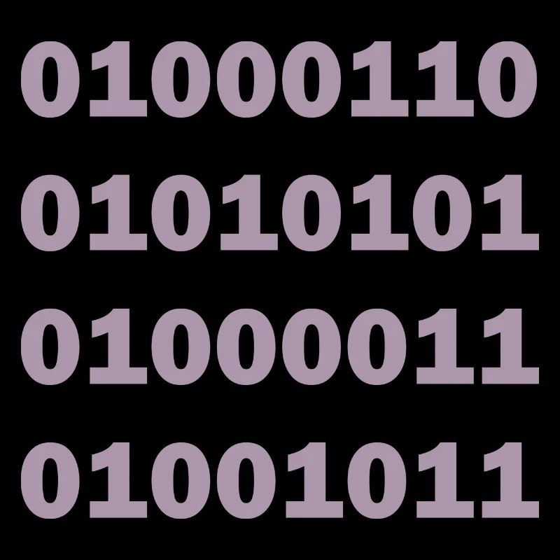 Binary Code Fuck