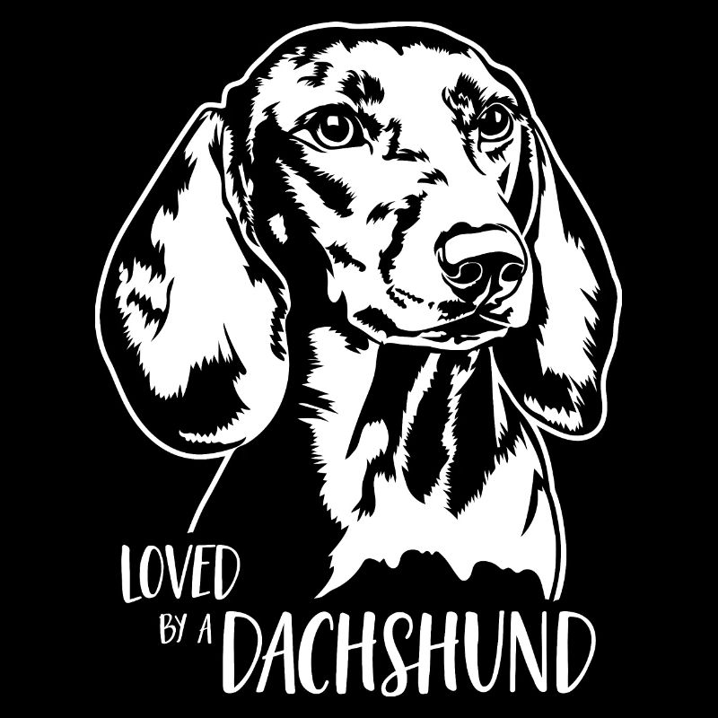 Aimé par un chien teckel disant chien Wilsigns