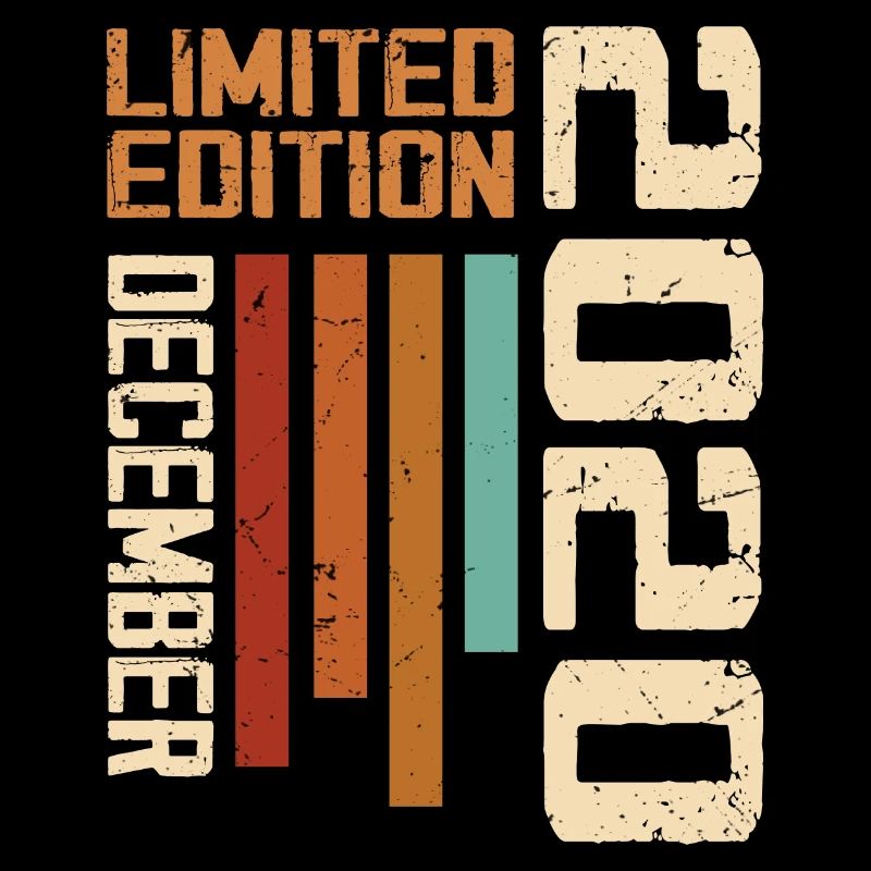 December 2020 - 2020 December
