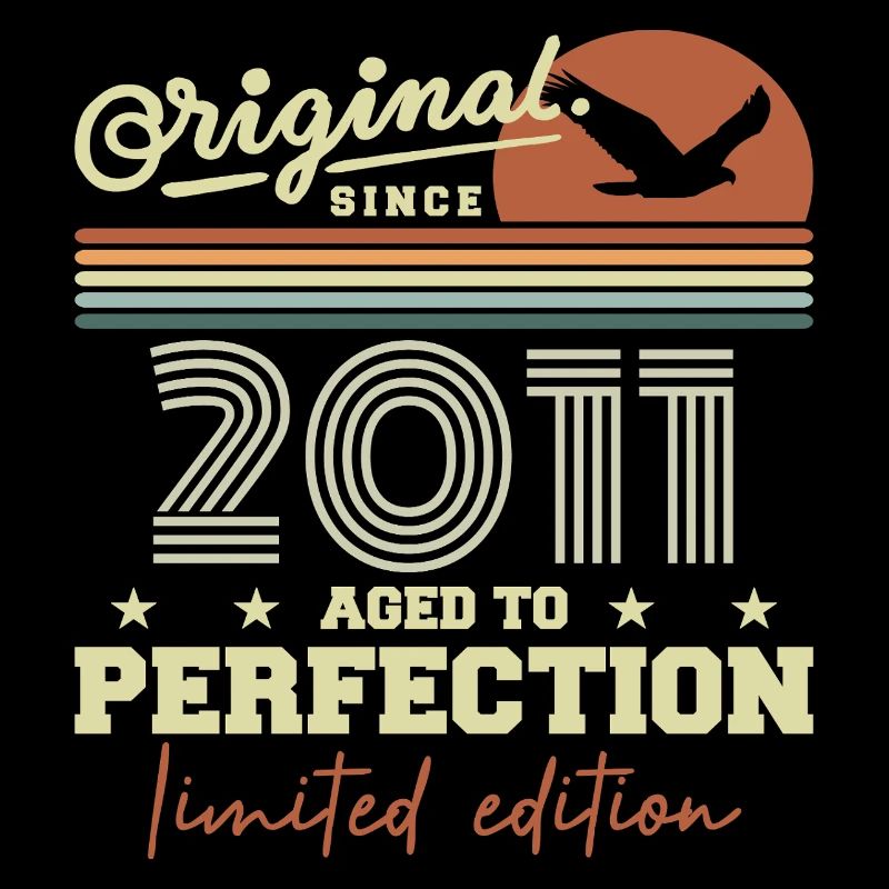 Original 2011 Geburtstagsgeschenk 2011 Retro 2011