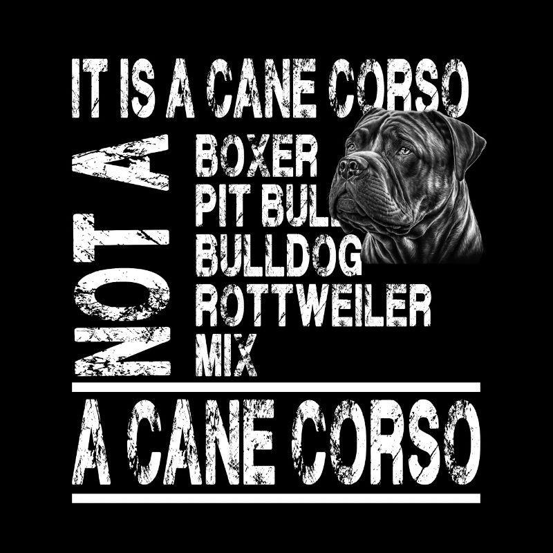 Es ist ein Cane Corso für einen Cane Corso