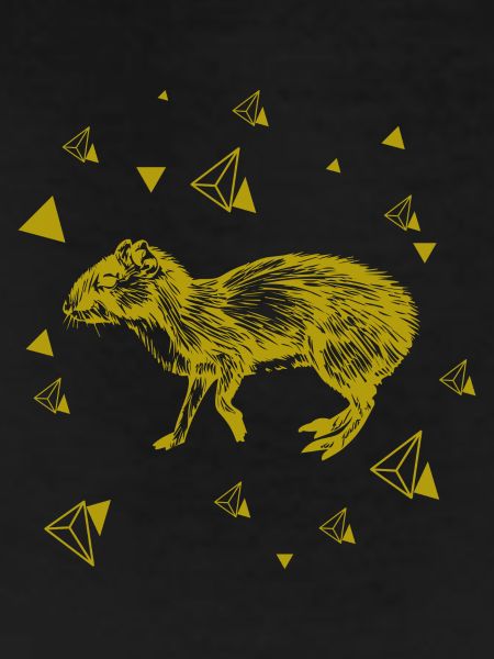Rat - rodent