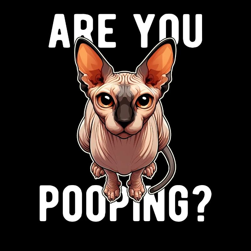Sie? Lustige Sphynx-Katze