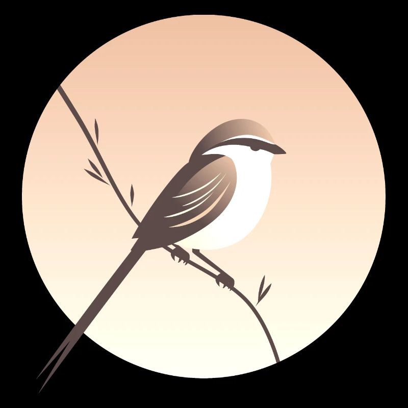 Petit oiseau sur branche