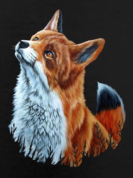 Fox
