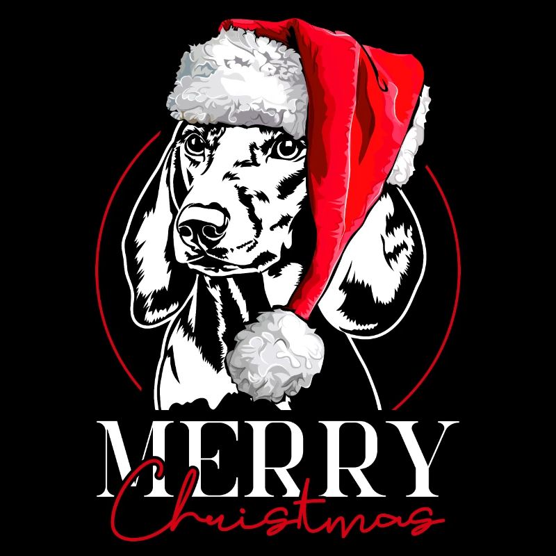 Père Noël Teckel Teckel Joyeux Noël Chiens Wilsigns