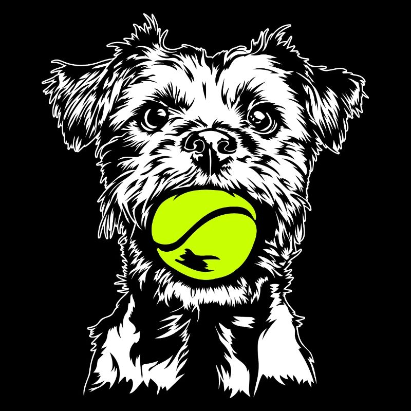 Border Terrier Dog Dog Wilsigns
