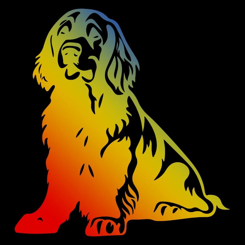 Cocker Spaniel Chien Multicolore