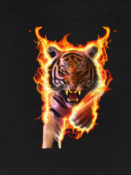 fire tiger