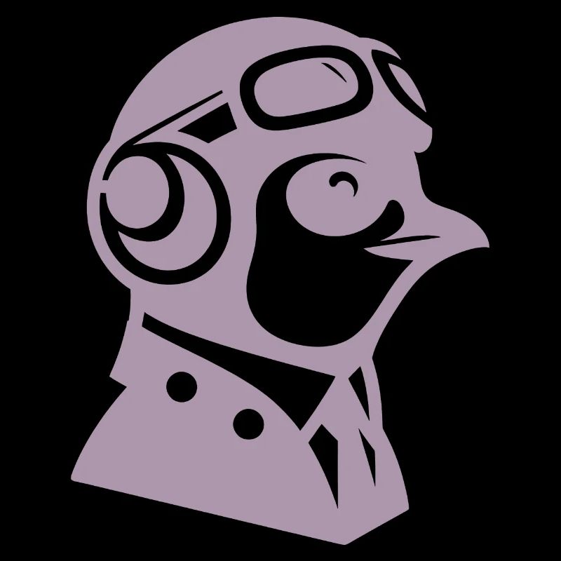 Pinguin Pilot Flugzeug fliegen Flugschein