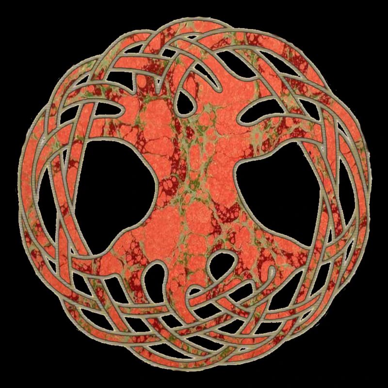 Celtic Arborvitae E 213