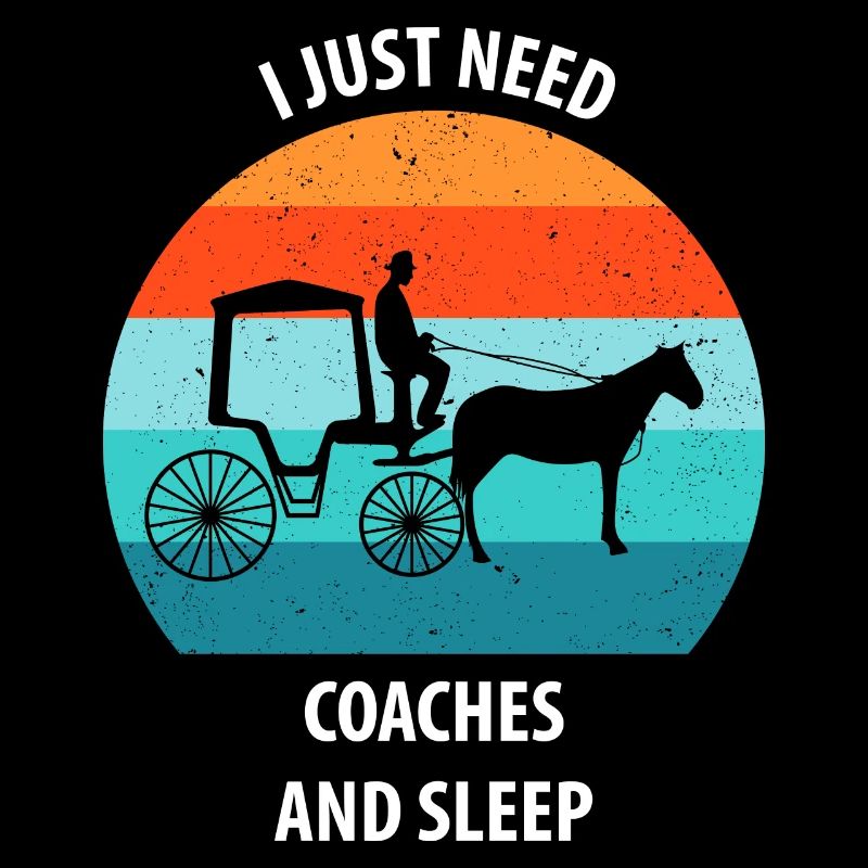 Kutscher Kutsche Pferdekutscher Kutschieren