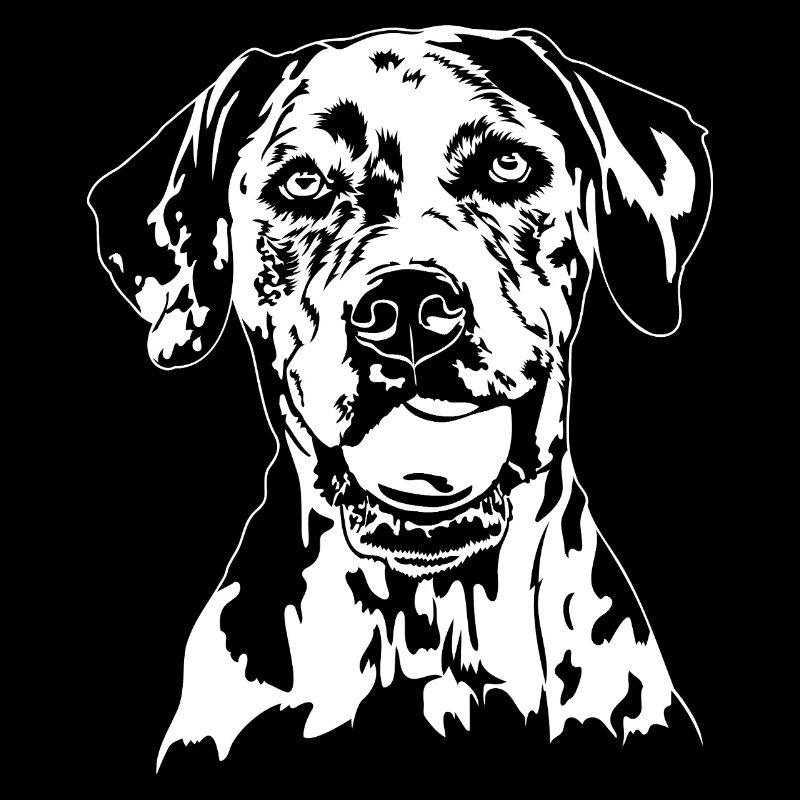 Catahoula Chien Léopard Hunde Hund Wilsigns