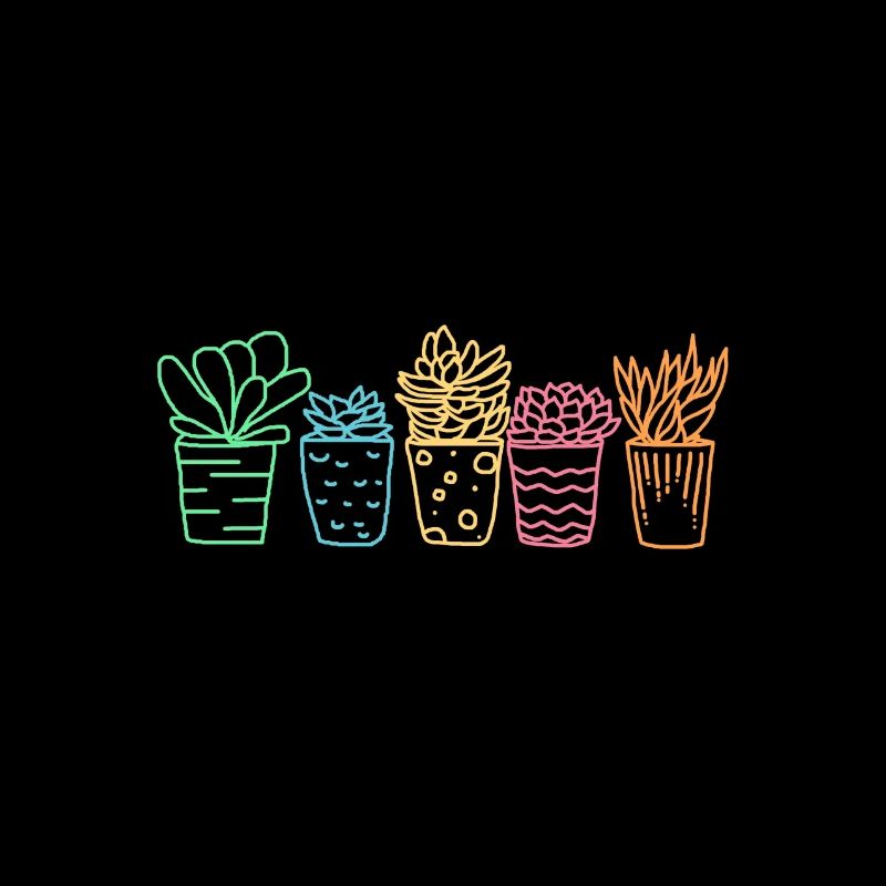 Cactus Succulentes Fleurs