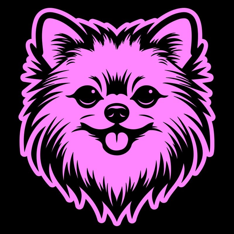 Tête de chien de Poméranie