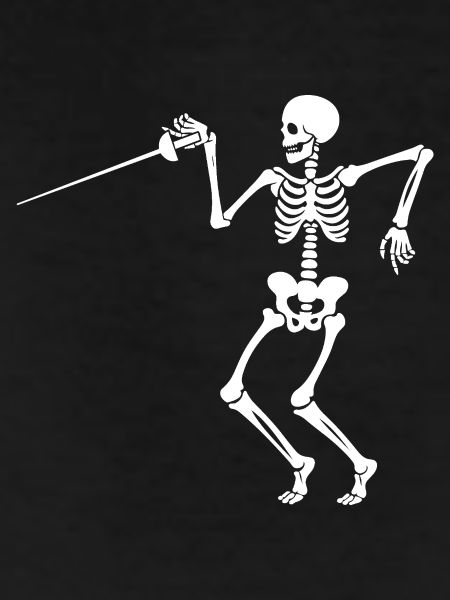 Fencing Fencing