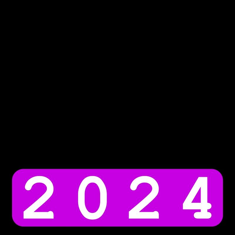 Bachelorette Party 2024 Bachelorette Party