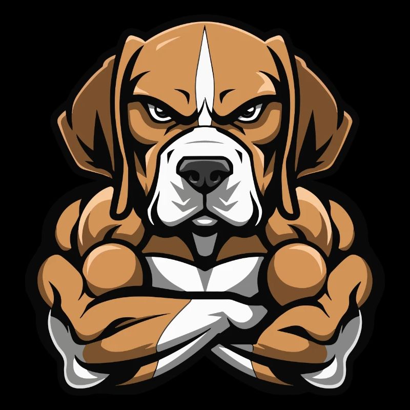 Beagle Chien Muscles Musculation