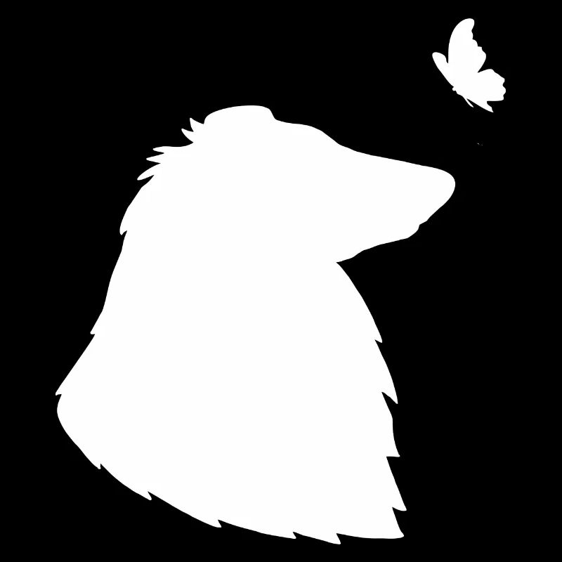 Collie mit Schmetterling