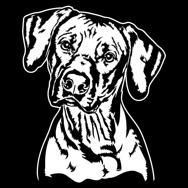 RHODESIAN RIDGEBACK Hunde Portrait Wilsigns