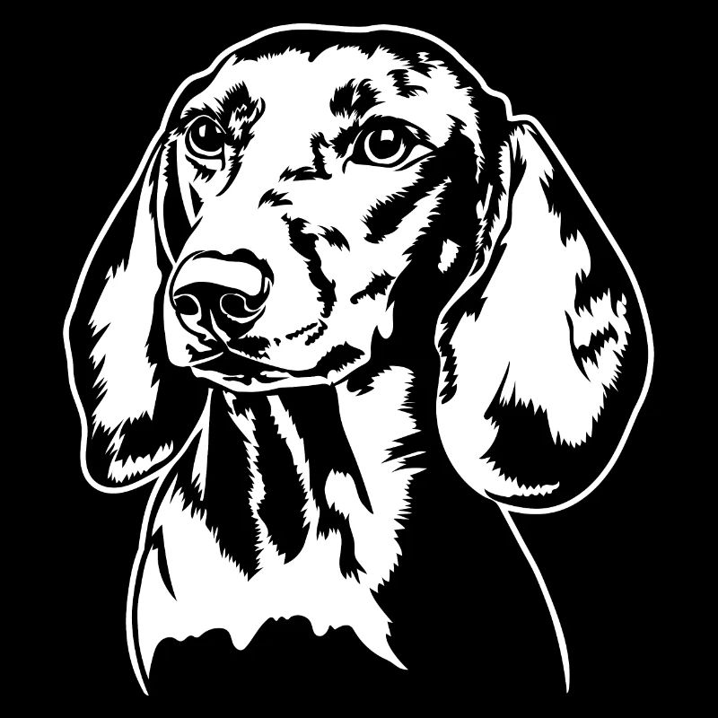 Teckel teckel Chien Portrait Chiens