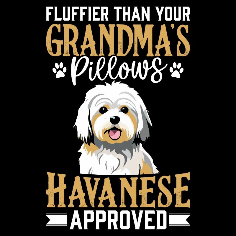 Fluffier than your Grandma's Pillows Havanese