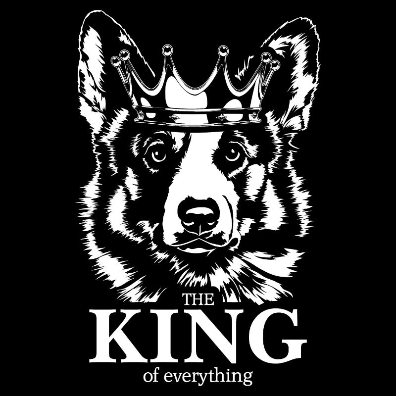 Welsh Corgi Roi de tout Chiens Wilsigns