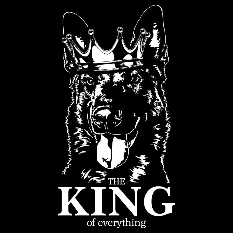 Malinois roi de tout dire chiens