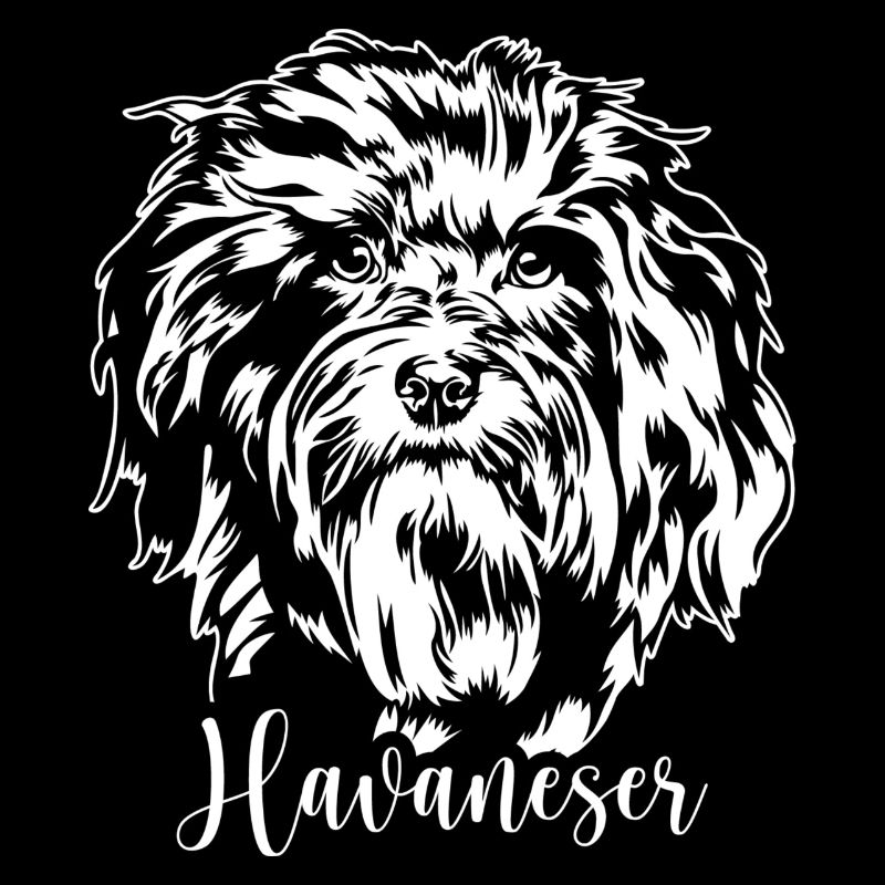 Havanese Dog Portrait Dog Wilsigns