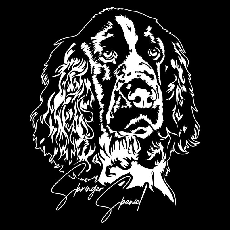 Springer Spaniel Portrait Dogs Wilsigns