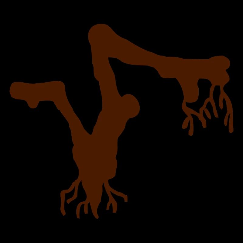 Root