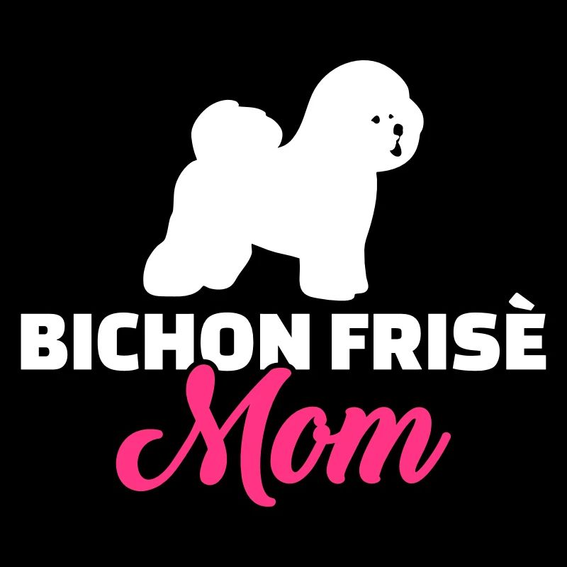 Bichon Frise