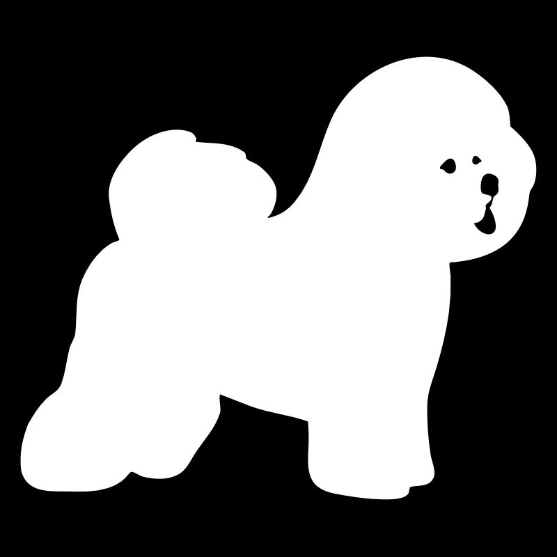 Bichon Frise