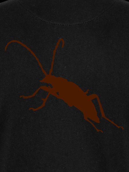 Käfer Bug